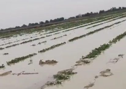 سیلاب اخیر به ۳۰ رشته قنات شهرستان فنوج خسارت زد
